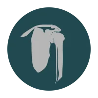hip surgery icon hip surgery icon